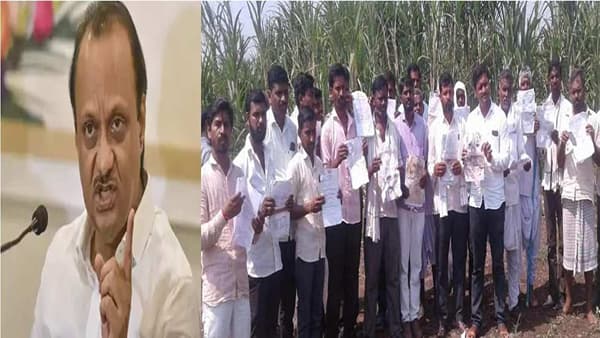 विमा कंपन्या शेतकऱ्यांशी अडेलतट्टूपणे वागत असतील तर गुन्हे दाखल करायला मागेपुढे पाहणार नाही, अजितदादांचा इशारा