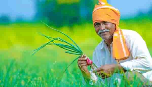PM Kisan : शेतकऱ्यांसाठी खुशखबर! PM KISAN च्या 10 व्या हप्त्याचे पैसे या तारखेला बँक खात्यात येणार