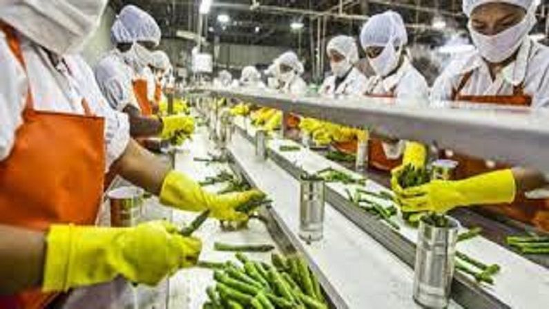 प्रधानमंत्री अन्न प्रक्रिया उद्योग योजनेसाठी 25 ऑक्टोबरपर्यंत मागवले अर्ज; 10 लाखांपर्यंत असे मिळवा अनुदान