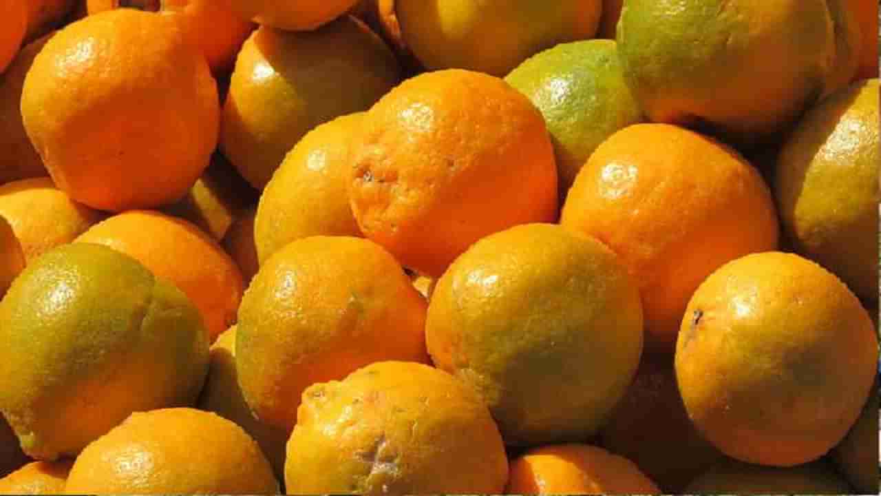 नागपूरी संत्री सातासमुद्रापार, मोसंबीच्या निर्यातीचाही मार्ग मोकळा