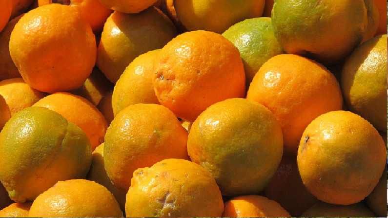 नागपूरी संत्री सातासमुद्रापार, मोसंबीच्या निर्यातीचाही मार्ग मोकळा