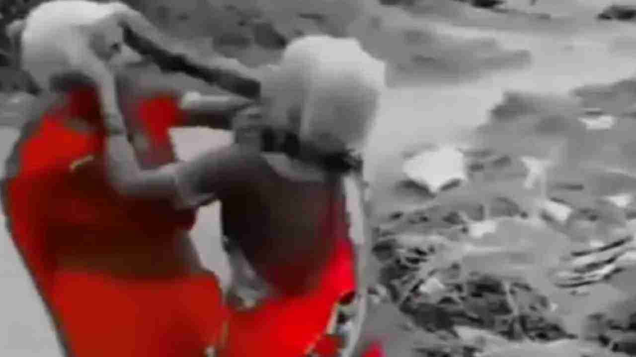 Funny Fight Video | वृद्ध महिलांमध्ये तुफान मारामारी, नेटकरी म्हणतात यांना WWE मध्ये पाठवा, धम्माल व्हिडीओ पाहाच