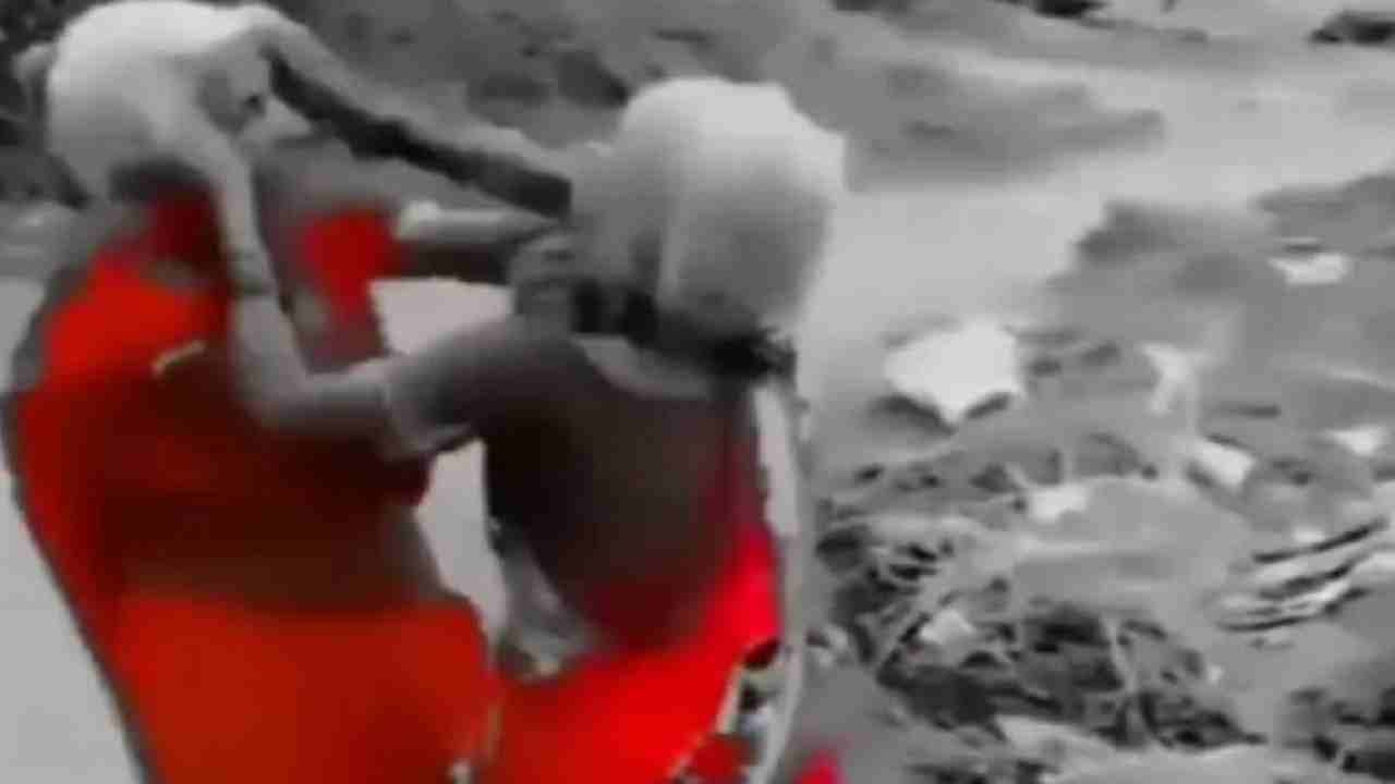 Funny Fight Video | वृद्ध महिलांमध्ये तुफान मारामारी, नेटकरी म्हणतात 'यांना WWE मध्ये पाठवा', धम्माल व्हिडीओ पाहाच