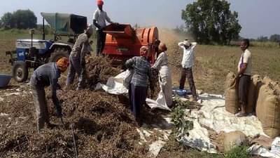 पाऊस गेला गावाला, आता लागा कामाला ; काय आहे शेतकऱ्यांना सल्ला