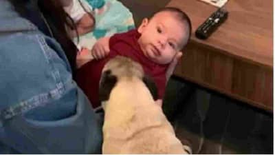 आनंद पोटात माझ्या माईना! घरी आलेल्या नव्या पाहूण्याला पाहून कुत्रा खुश