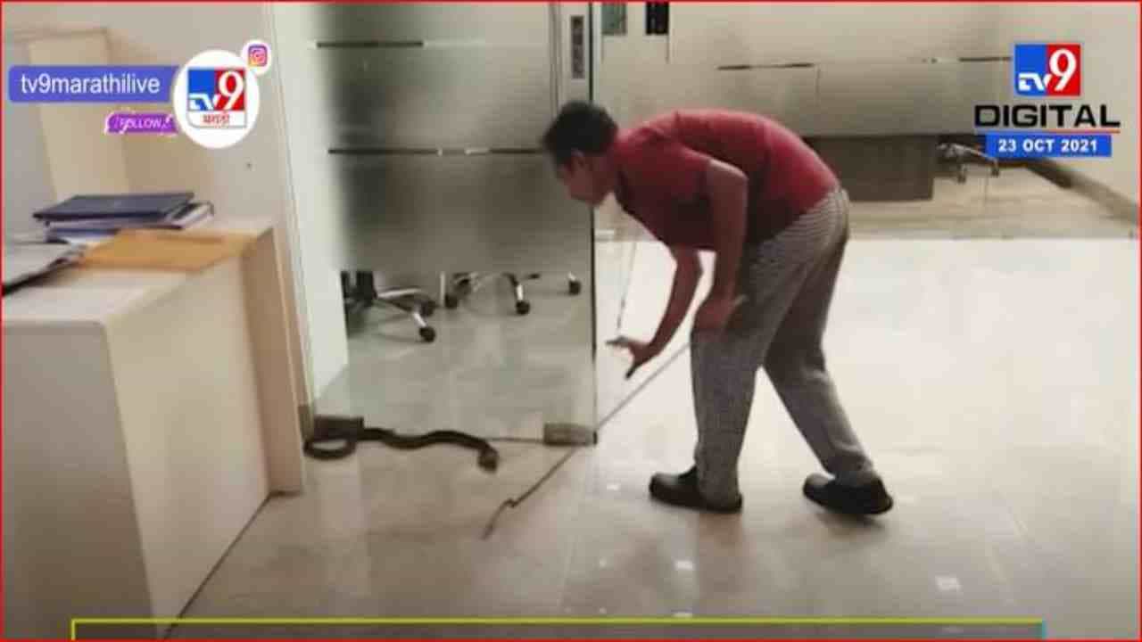 Ambernath च्या एमआयडीसीतील कार्यालयात भलामोठा कोब्रा