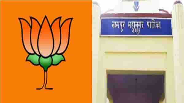 नागपुरात भाजपकडून अनेक महिला नगरसेविकांचं तिकीट कापण्याची शक्यता, नेमकं कारण काय?