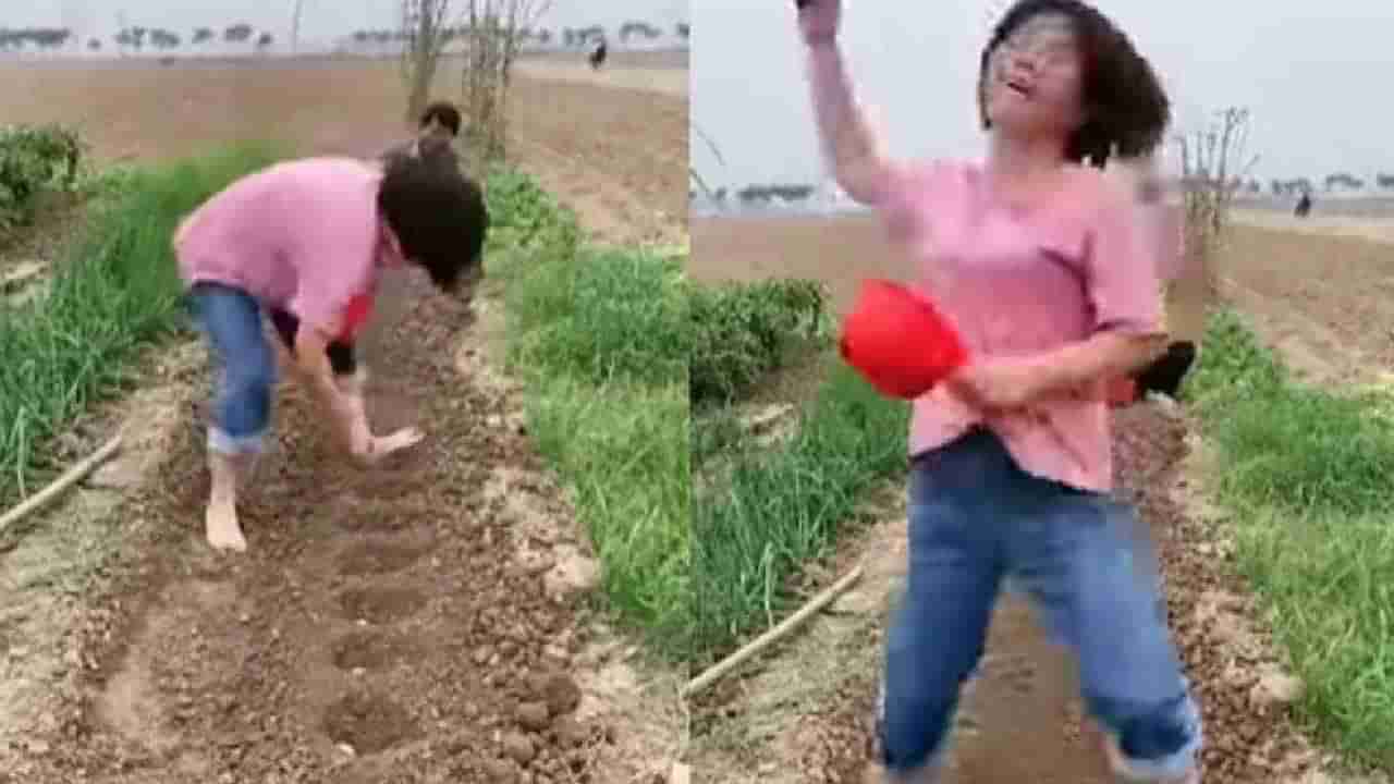 Video: टाच मारली आणि बी पेरलं, शेतात अनोख्या पद्धतीने पेरणी करणाऱ्या महिलेचा व्हिडीओ व्हायरल