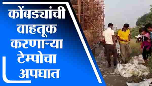 Solapur | कोंबड्यांची वाहतूक करणाऱ्या टेम्पोचा अपघात, कोंबड्या घेऊन जाण्यासाठी नागरिकांची झुंबड