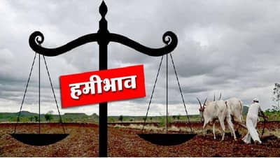 खरीपाच्या अंतिम टप्प्यात हमीभाव केंद्रचा आधार, किनवटमध्ये खरेदी केंद्र