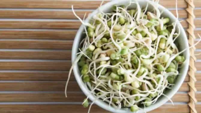Mung Bean Benefits : अंकुरलेले हिरवे मूग खाणे आरोग्यासाठी अत्यंत फायदेशीर, वाचा सविस्तर!