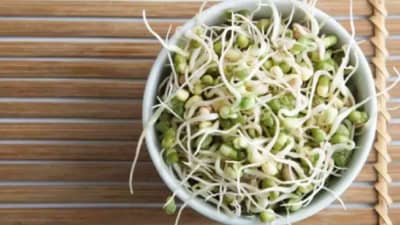 Mung Bean Benefits : अंकुरलेले हिरवे मूग खाणे आरोग्यासाठी अत्यंत फायदेशीर, वाचा सविस्तर!
