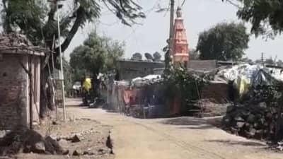 घरफोड्या अस्वलाची बुलडाण्यात दहशत, आठवडाभरात 10 ते 12 घरे फोडली