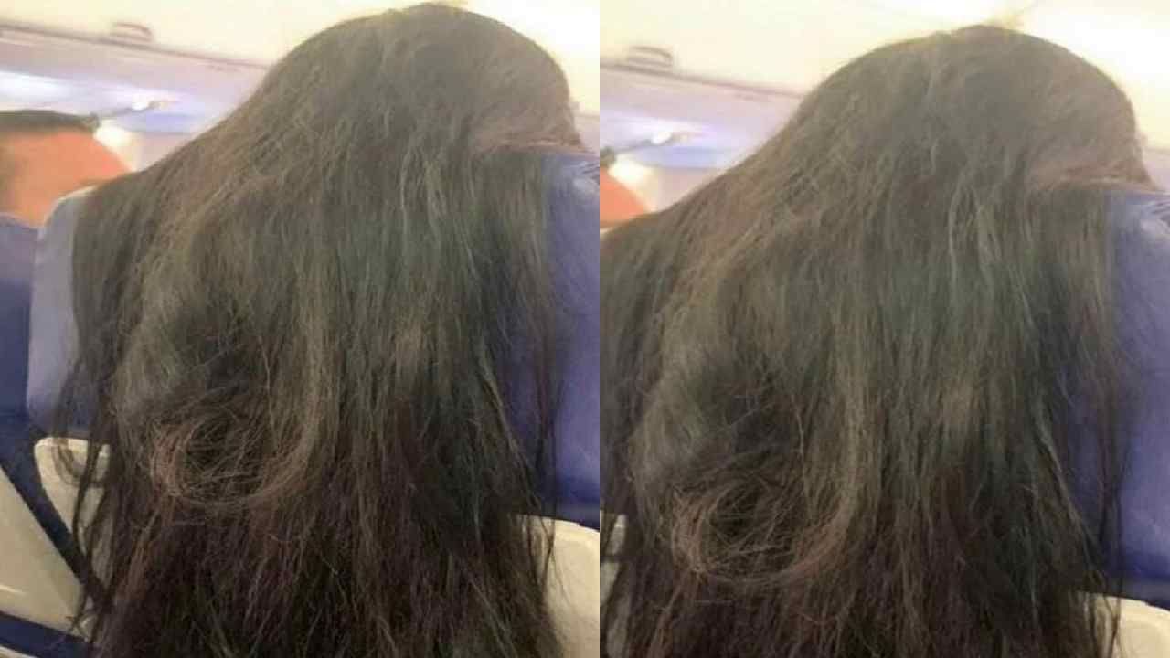 Video: विमानाच्या सीटमागे सोडले लांब सडक केस, फोटो व्हायरल झाल्यानंतर नेटकरी भडकले