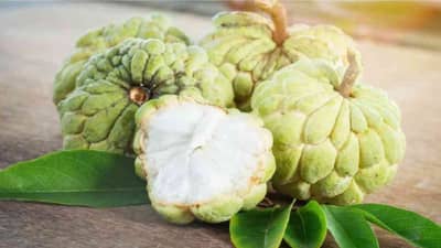 Custard Apple Benefits : जाणून घ्या सिताफळाचे आश्चर्यकारक आरोग्यदायी फायदे