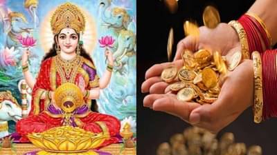 Dhanteras 2021 : या 7 गोष्टी घरात आणतात सुख-समृद्धी, धनत्रयोदशीच्या दिवशी आणायला विसरू नका !