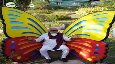 दिल गार्डन गार्डन हो गया...गमाडी गंमत, नाशिकमध्ये साकारली फुलपाखरांची बाग!