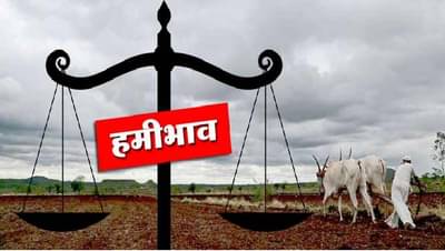 खरेदी केंद्रावर खरचं मिळेल का शेतकऱ्याला आधार ? समजून घ्या पीक विक्रीची पध्दत