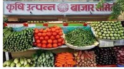 औरंगाबादः कृषी उत्पन्न बाजार समित्यांच्या निवडणुकांचा बिगुल वाजला, नव्या वर्षात 10 समित्यांच्या निवडणुका