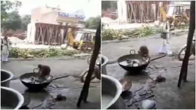 Viral: हॉटेलबाहेर भांडी धुणारं माकड, व्हिडीओ पाहून नेटकरी म्हणाले, याला तर एम्पॉली ऑफ द मंथचा अवॉर्ड दिला पाहिजे!