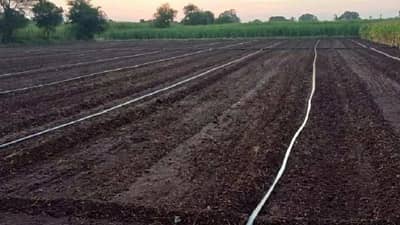 पेरणी यंत्र एक अन् फायदे अनेक, वेळेची बचत शिवाय उत्पादनात वाढ