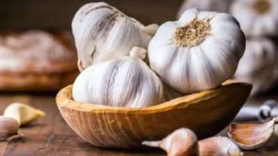 फायद्यांसोबतच लसणाचे नुकसानही आहेत, तुम्हाला माहितीये का..?