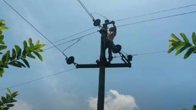 Video: हायटेन्शन विद्युत तारांवर चालणारे स्पायडरमॅन, नेटकरी म्हणाले, कशाला नस्ते उपद्वाप!