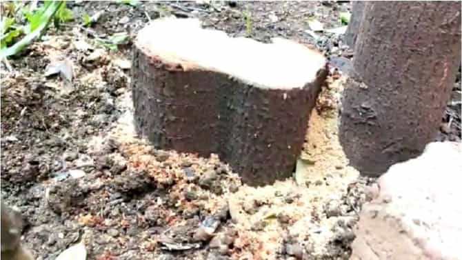 विभागीय आयुक्तांच्या चोवीस तास कडेकोट बंदोबस्त असलेल्या बंगल्यात चोरी, नाशिकमधला धक्कादायक प्रकार!