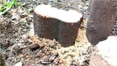 विभागीय आयुक्तांच्या चोवीस तास कडेकोट बंदोबस्त असलेल्या बंगल्यात चोरी, नाशिकमधला धक्कादायक प्रकार!