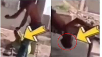 Video: बाहुबली बनण्याच्या नादात खाली डोकं वर पाय, तरुणाचा व्हिडीओ पाहून नेटकरी लोटपोट