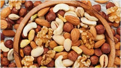 Protein Diet | आहारात 5 गोष्टींचा समावेश करा, प्रथिनांची कधीही कमी जाणवणार नाही