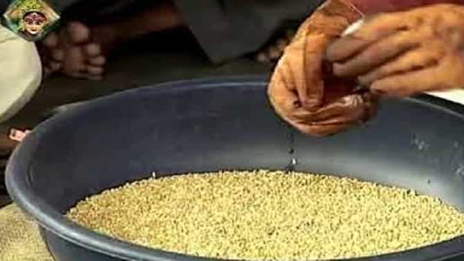 पेरणीपूर्वी बीजप्रक्रियेमुळे उत्पादनात वाढ अन् रोगराईलाही प्रतिबंध