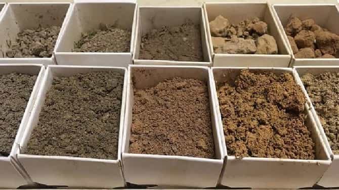 शेत जमिनीची गुणवत्ता जाणून घ्या मृदा कार्ड योजनेतून अन् उत्पादन वाढवा