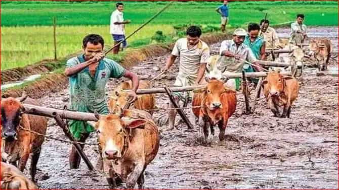 नवे कृषी कायदे रद्द झाल्याचा उद्योग क्षेत्राला फटका ; कृषी क्षेत्रातील गुंतवणुकीचा ओघ कमी होणार?