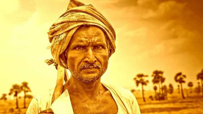 धक्कादायक...! 2020 मध्येही महाराष्ट्रातच सर्वाधिक शेतकरी आत्महत्या, एनसीआरबीचा अहवाल जाहीर