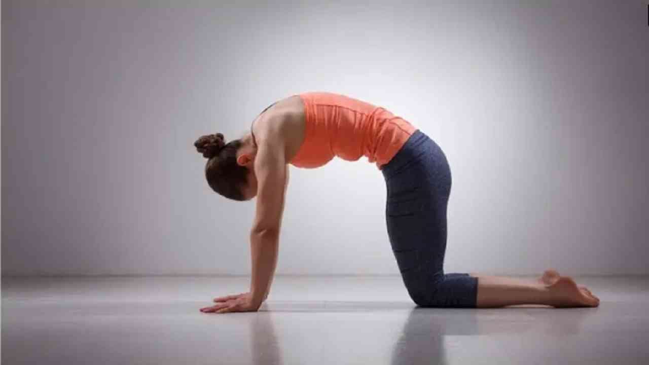 मार्जरीआसन - हे आसन आपल्या पाठीच्या कण्यासाठी फायदेशीर आहे. यामुळे रक्ताभिसरण चांगले होते. खांदे आणि मानेवरील ताण कमी होतो. हे आसन करण्यासाठी आपले हात आणि गुडघे जमिनीवर ठेवा. श्वास घ्या आणि पाच मिनिटांसाठी आसन स्थितीमध्ये स्थिर राहा.