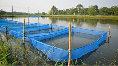 या व्यवसायात फक्त 25,000 रुपये गुंतवा, दरमहा 2 लाखांपर्यंत कमवा, सरकारचीही मदत