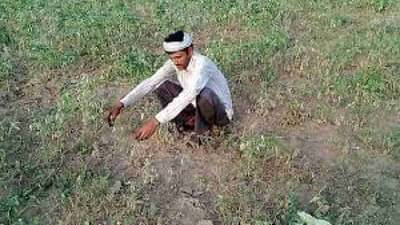 औरंगाबाद जिल्ह्यातील शेतकऱ्यांची दिवाळी आनंदात होणार, अनुदानाची प्रक्रिया दोन दिवसात पूर्ण करणार