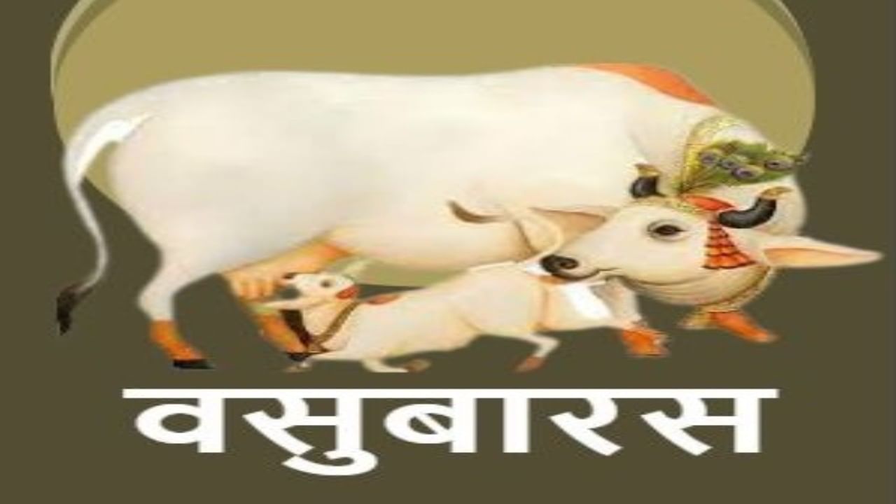 Diwali 2021 | आज वसुबारस, जाणून घ्या या दिवसाचे महत्त्व आणि मुहूर्त Diwali 2021 | आज वसुबारस, जाणून घ्या या दिवसाचे महत्त्व आणि मुहूर्त
