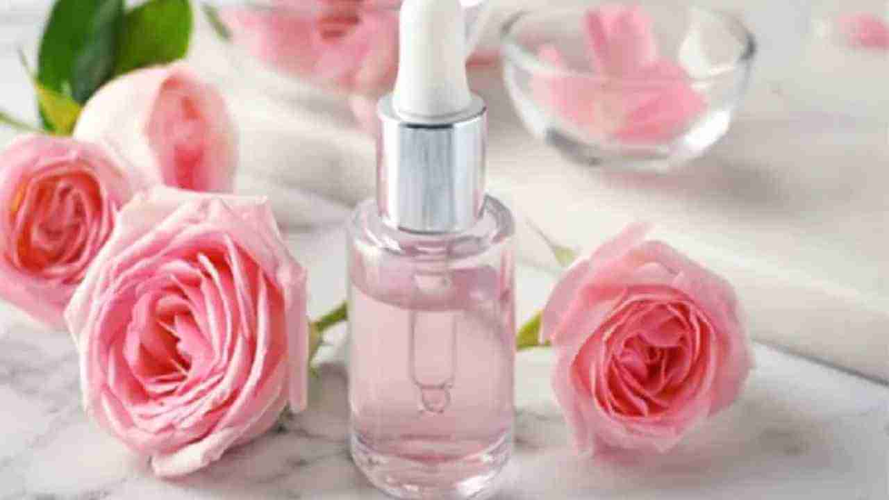 Rose Cream : चमकदार आणि सुंदर त्वचेसाठी घरच्या-घरी तयार करा गुलाब क्रीम, वाचा अधिक!   