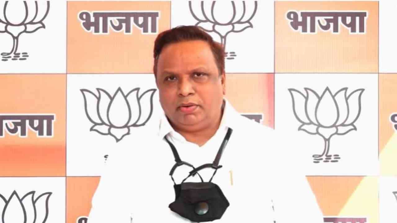 समीर वानखेडेंना चारित्र्याचं सर्टिफिकेट देणं भाजपचं काम नाही, आशिष शेलारांचं वक्तव्य