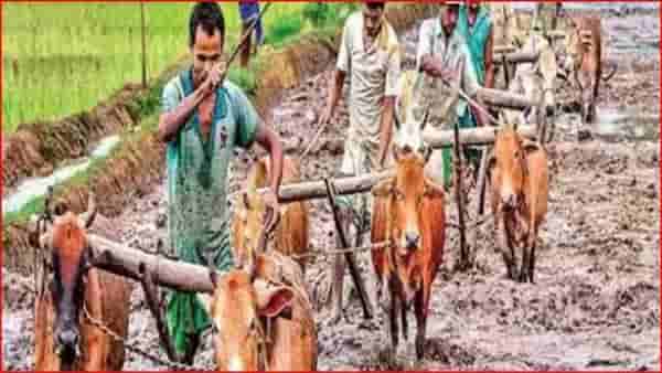 शेतकऱ्यांना आता विनातारण 1.60 लाखांचे कर्ज मिळणार, जाणून घ्या सर्वकाही