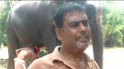 हत्तीच्या नावे कोट्यवधींची संपत्ती दान करणाऱ्या तरुणाची आठ गोळ्या झाडून हत्या