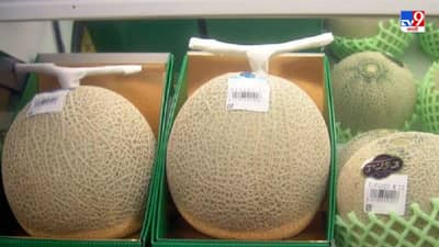 आतापर्यंत तुम्ही किती महागडं फळ खाल्लं आहे? या फळाच्या किंमतीत तुम्ही घर विकत घेऊ शकता!