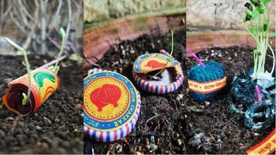 फटाक्यांचा ना आवाज ना धूर तर बाहेर पडतात भाजीपाला वनस्पती