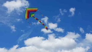 दुःखाची संक्रांतः पतंग उडवण्यासाठी जावू दिले नाही म्हणून 12 वर्षीय मुलाचा गळफास; तर पतंग काढताना 10 वर्षीय मुलाचा मृत्यू
