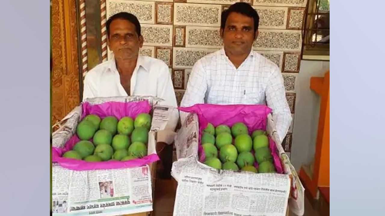 प्रसिध्द देवगड हापूस आंब्याची पहिली पेटी पुण्यात दाखल; इतकी आहे किंमत? प्रसिध्द देवगड हापूस आंब्याची पहिली पेटी पुण्यात दाखल; इतकी आहे किंमत?