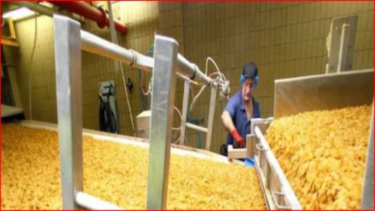 हा व्यवसाय सुरु केल्यास दिवसाला कमवाल पाच हजार रुपये, जाणून घ्या सर्वकाही