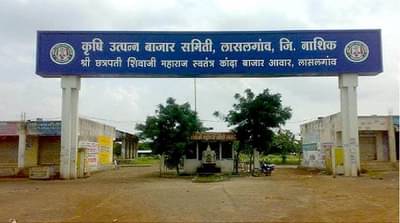 Kharif Onion : अतिवृष्टीचा मारा, करप्याचा प्रादुर्भावानंतरही तो मुख्य बाजारपेठेत दाखल, नगदी पिकातून शेतकऱ्यांना दिलासा