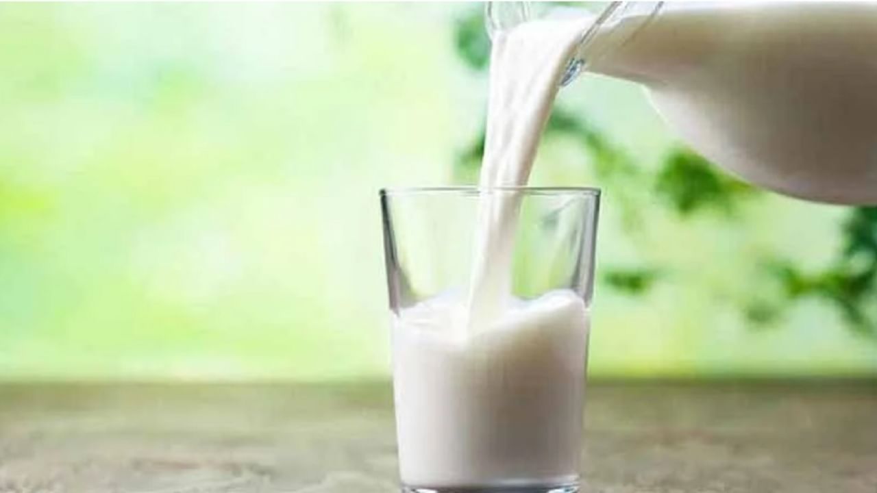 Weight Loss: वजन कमी करण्याचा प्रयत्न करत असताना दूध पिणे टाळावे? वाचा महत्वाची माहीती!
